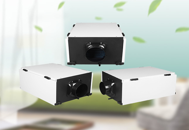 家用除濕機是否有效除濕？如何正確擺放？