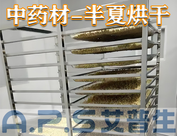中藥材半夏烘干，除了傳統(tǒng)的烘干方法，首選推薦使用艾普生空氣能熱泵烘干機(jī)