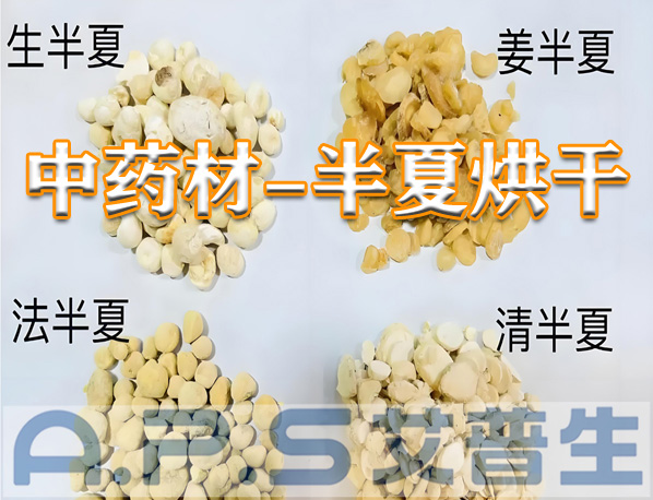 艾普生環(huán)境科技：半夏的烘干方法有哪些？哪一種烘干效果更好？