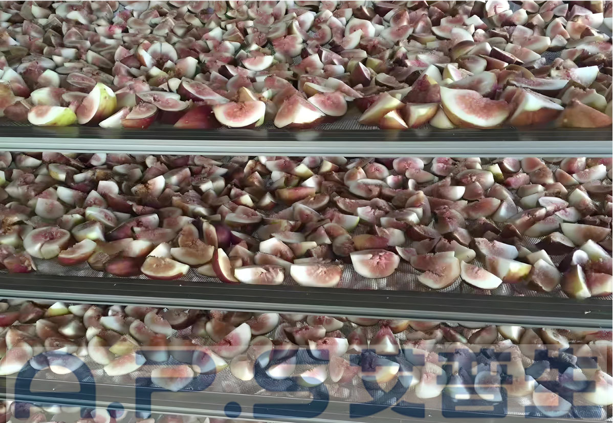 8、無花果烘干 詳情頁=1.jpg